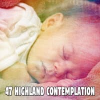 47 Highland Contemplation