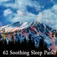 62 Soothing Sleep Park