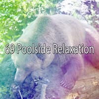 69 Poolside Relaxation