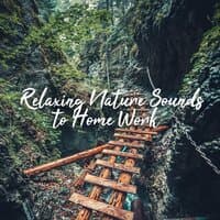 Relaxing Nature Sounds to Home Work: Concentration, Calm Your Mind, Learning & Reading