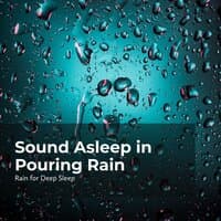 Sound Asleep in Pouring Rain