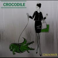 Crocodile