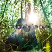 9 The Rhythm of Pure Latin America