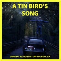 A Tin Bird's Song