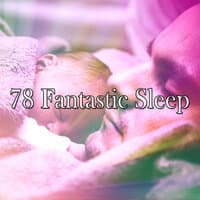 78 Fantastic Sle - EP