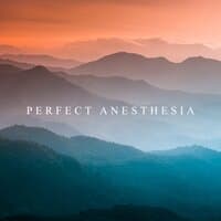 Perfect Anesthesia: Healing Nature Sounds for Fatigue, Anxiety and Depression