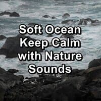 Soft Ocean Keep Calm with Nature Sounds