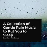 A Collection of Gentle Rain Music to Put You to Sleep