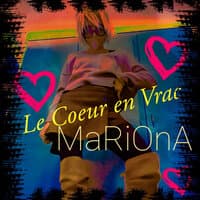 Le Coeur en Vrac