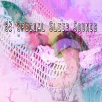 63 Special Sleep Sounds