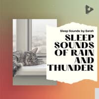 Sleep Sounds of Rain and Thunder