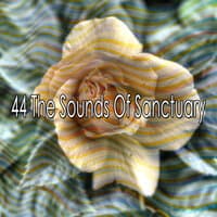 44 The Sounds of Sanctuary