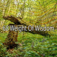 68 Weight of Wisdom