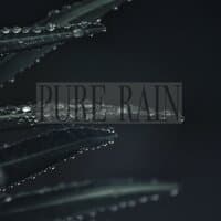 Pure Rain