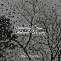 Unwinding Tunes - Rainfall Morning