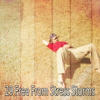 29 Free from Stress Storms