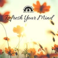 Refresh Your Mind: Reboot Your Brain, Deep Calm, Sleep Meditation, Relaxation Music