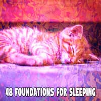 48 Foundations for Sleeping