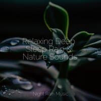 Relaxing Deep Sleep Rain & Nature Sounds