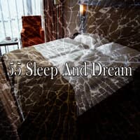 55 Sleep and Dream