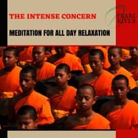 The Intense Concern - Meditation For All Day Relaxation