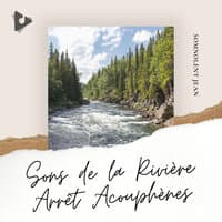 Sons de la Rivière Arrêt Acouphènes