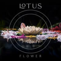 Lotus Flower – Spa Music