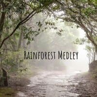 Rainforest Medley