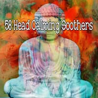 58 Head Calming Soothers