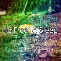 46 Free to Sle - EP