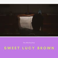 Sweet Lucy Brown