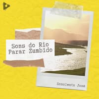 Sons do Rio Parar Zumbido