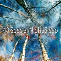 48 Special Night Sle - EP