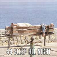 44 Sleep All Night