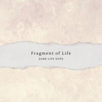 Fragment of Life