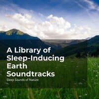 Sleep-Inducing Earth Soundtracks