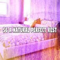 56 A Natural Perfect Rest