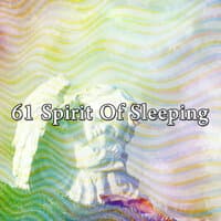 61 Spirit of Sleeping