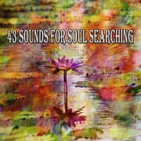 43 Sounds for Soul Searching