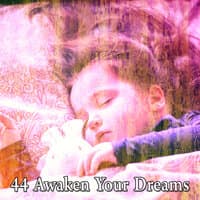 44 Awaken Your Dreams