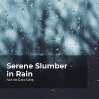 Serene Slumber in Rain