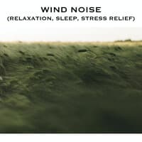 Wind Noise (Relaxation, Sleep, Stress Relief)