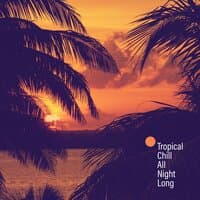 Tropical Chill All Night Long Untli the First Ray of Sunshine. Bossa Nova Night Party