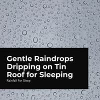 Gentle Raindrops Dripping on Tin Roof for Sleeping