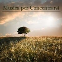 Musica per Concentrarsi: Musica per Studiare e Canzoni New Age per Meditazione, Rilassamento, Yoga, Pilates, Musica per Dormire e Aprire i 7 Chakra