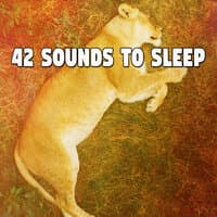 42 Sounds to Sle - EP