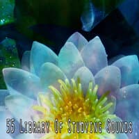 55 Library of Studying Sounds