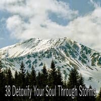 38 Detoxify Your Soul Through Storms