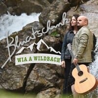 Wia a Wildbach