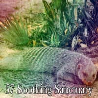 57 Soothing Sanctuary